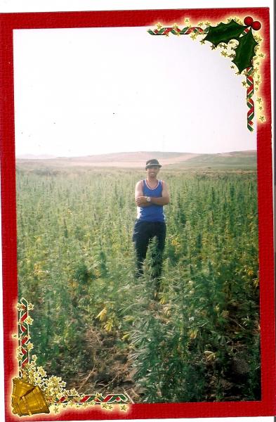 bahij